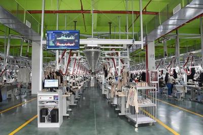 數字賦能，詩意棲居 解碼桐鄉“四個桐鄉”建設的創新實踐